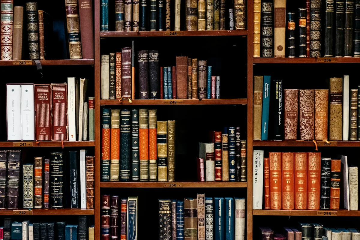 A private library with bound volumes — a study in inherited knowledge.